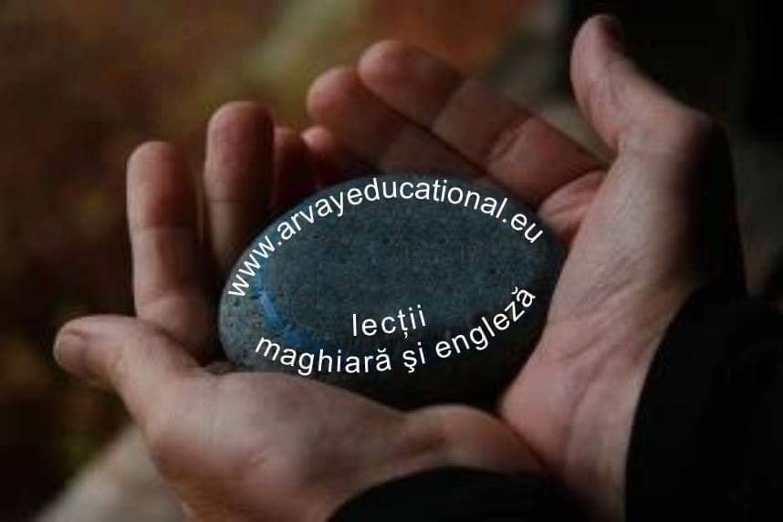 Arvay Educational