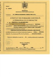 Atestat Merlin — Fekete KLM