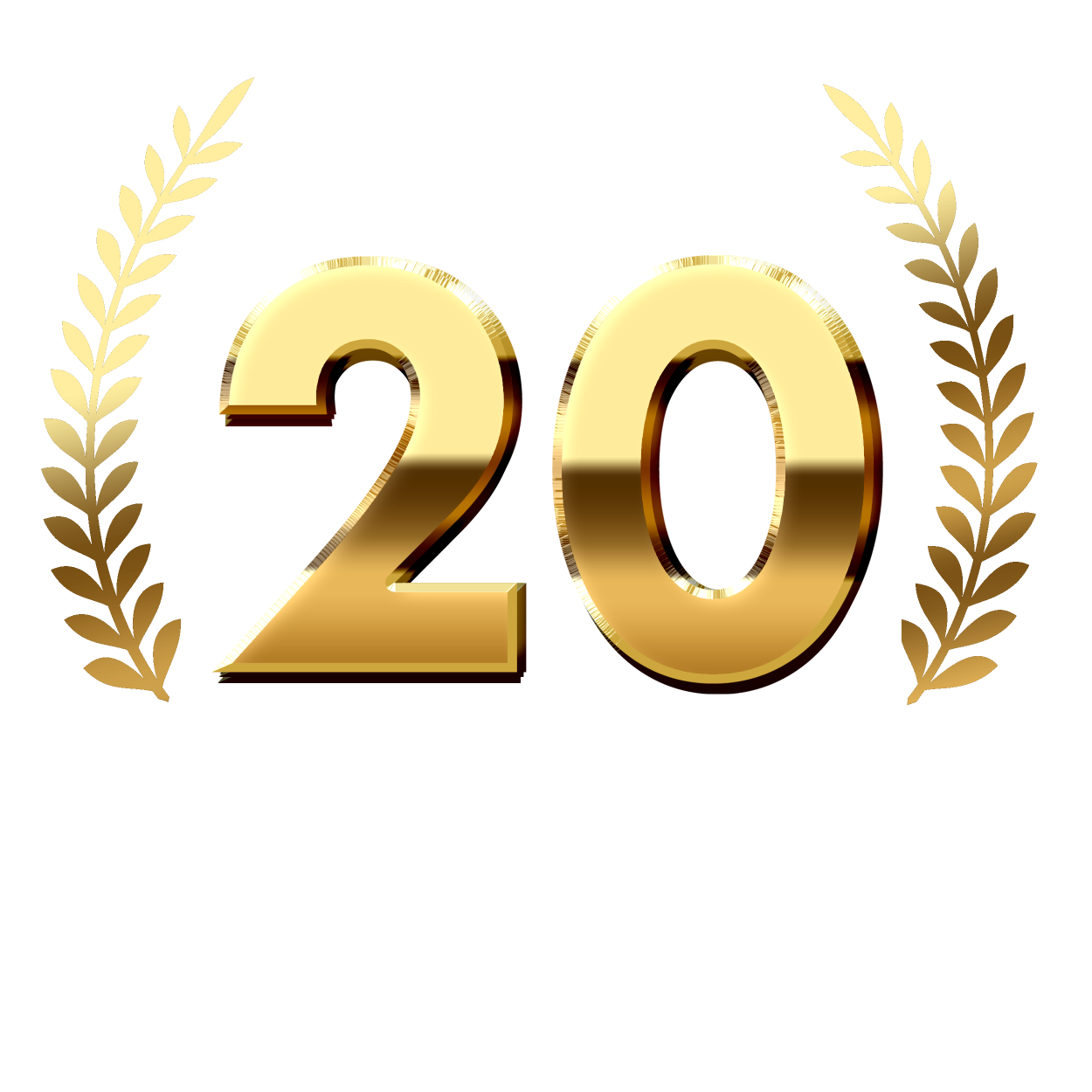 Arvay Educational - 20 de ani de existență
